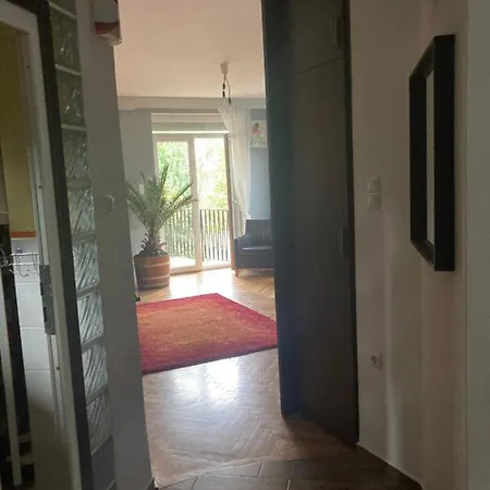 Designer Fészek * Budapest